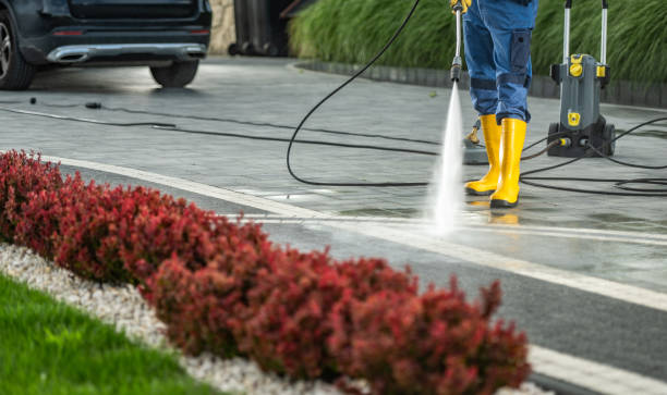 Best Roof Pressure Washing  in Pasatiempo, CA